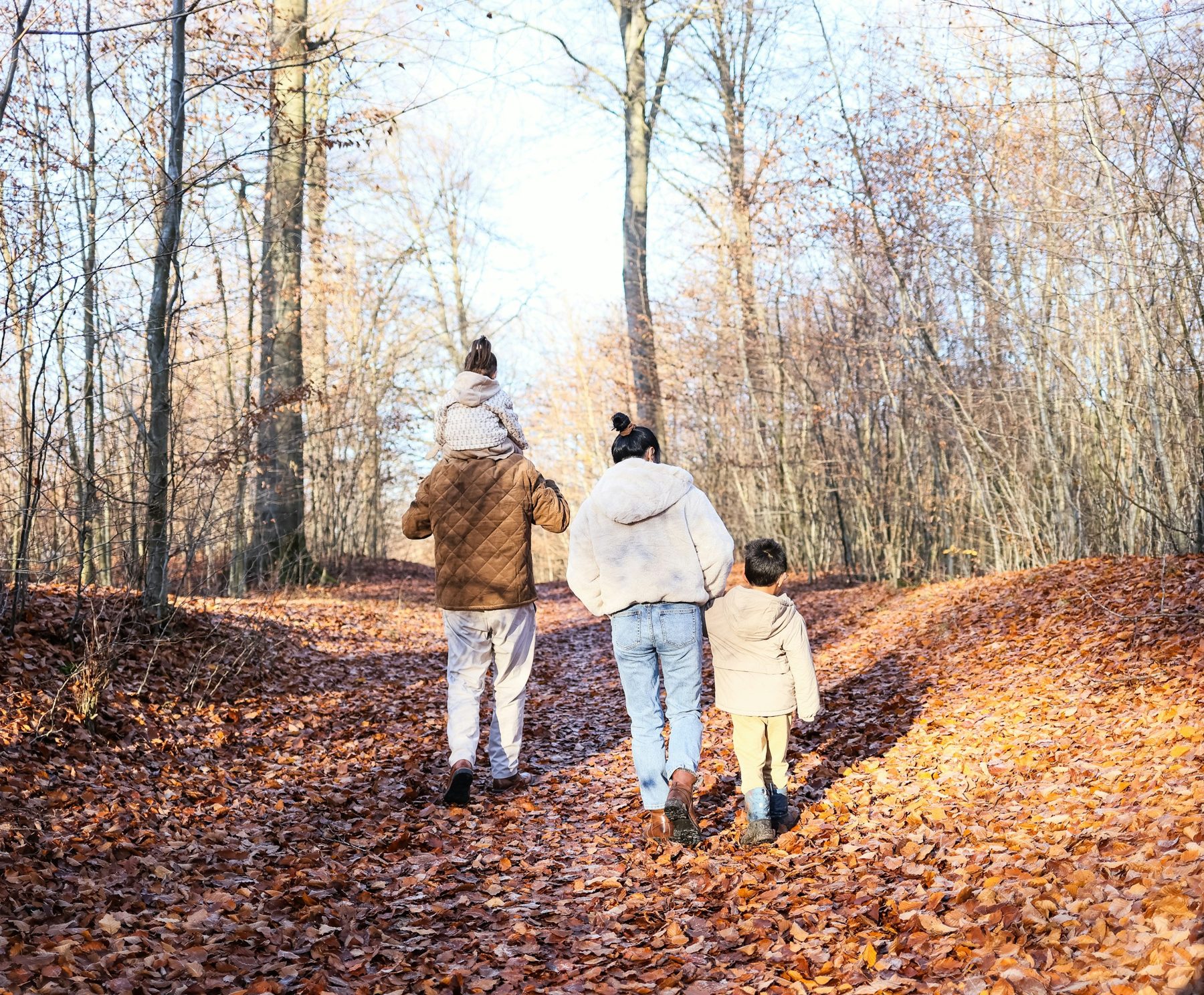 Eine Familie geht Hand in Hand einen Waldweg im Herbst entlang, von hinten gesehen